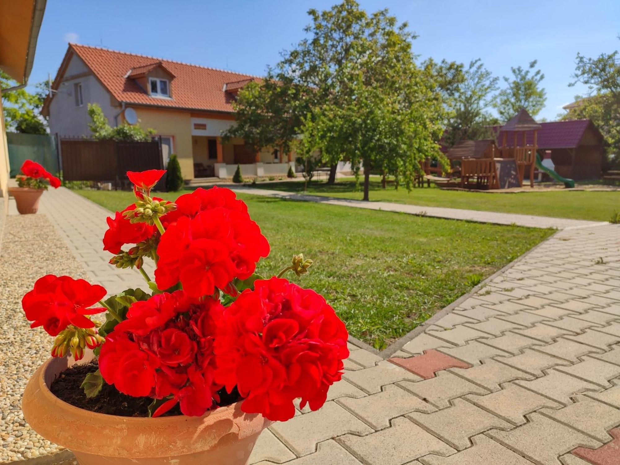 Ubytovanie Liska Radava ภายนอก รูปภาพ